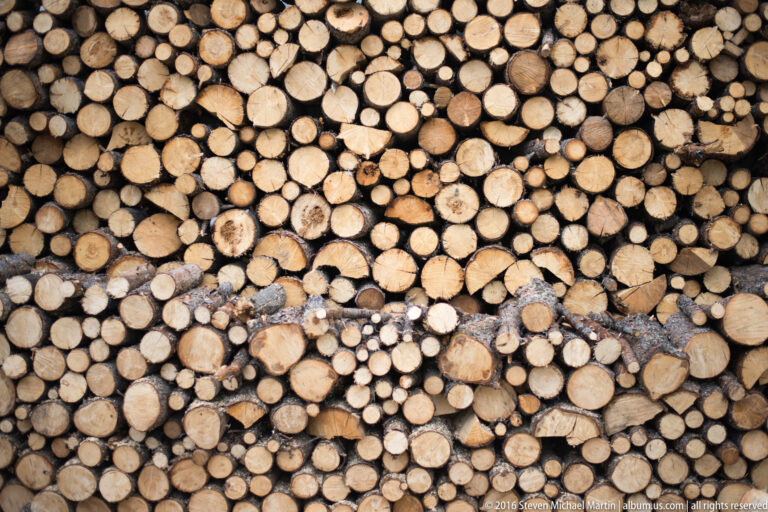 Rows of cut firewood logs stacked with their pale ends facing the camera.