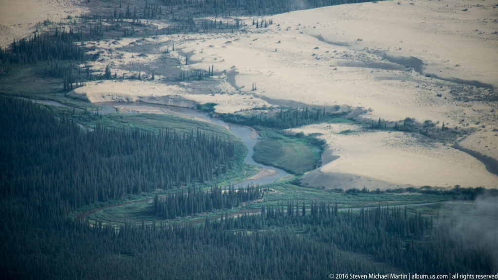 A winding river separates dark spruce forest from pale sand dunes, with a ribbon of green vegetation following its banks.