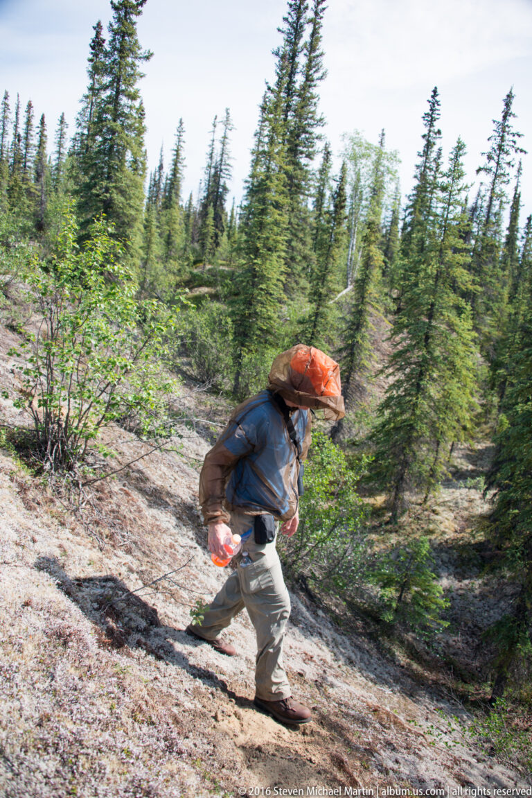 A hiker wearing a mesh head covering steps across a sandy slope among spruce and deciduous trees.
