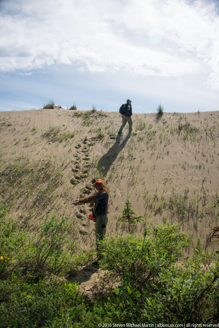 Two people climb a sandy dune slope at different heights, with sparse shrubs and long shadows around them.