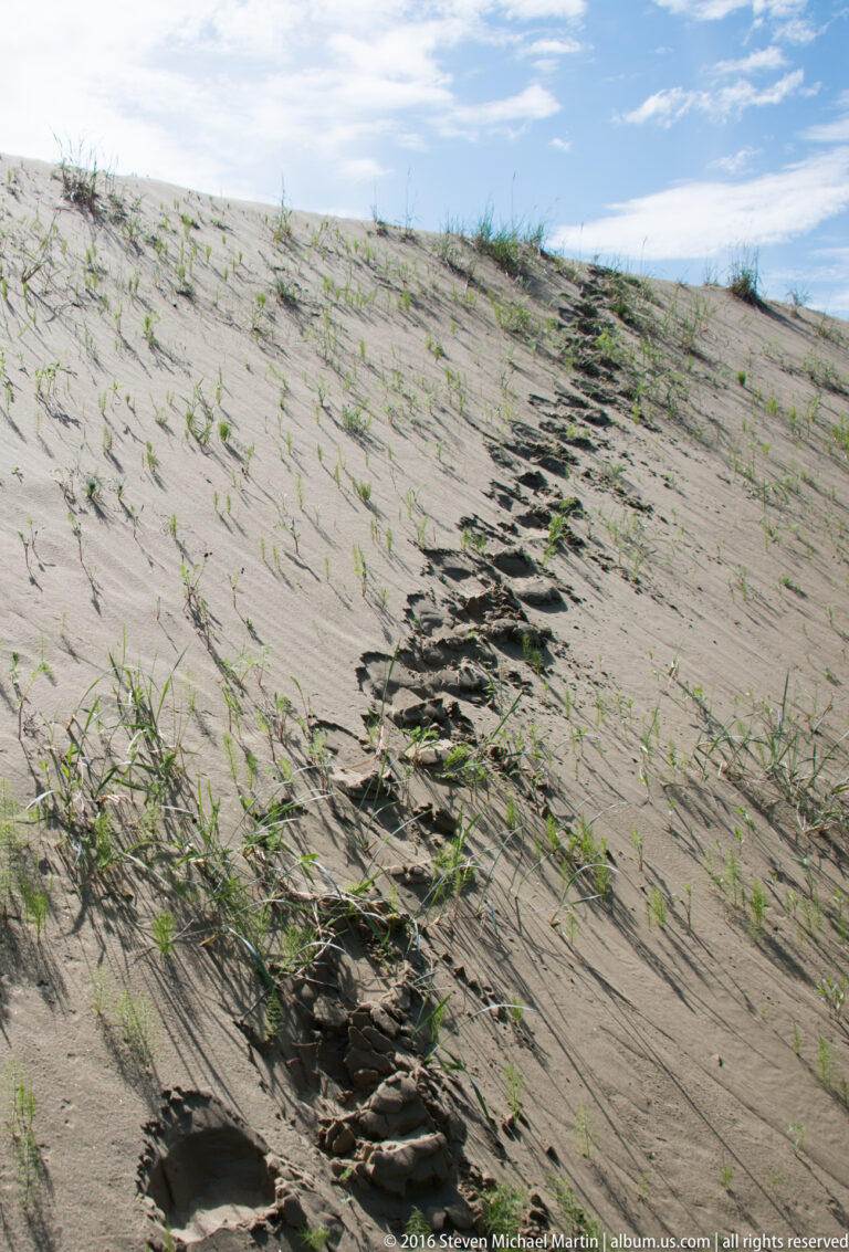 A line of deep footprints climbs a pale dune slope dotted with small grasses beneath a blue sky.