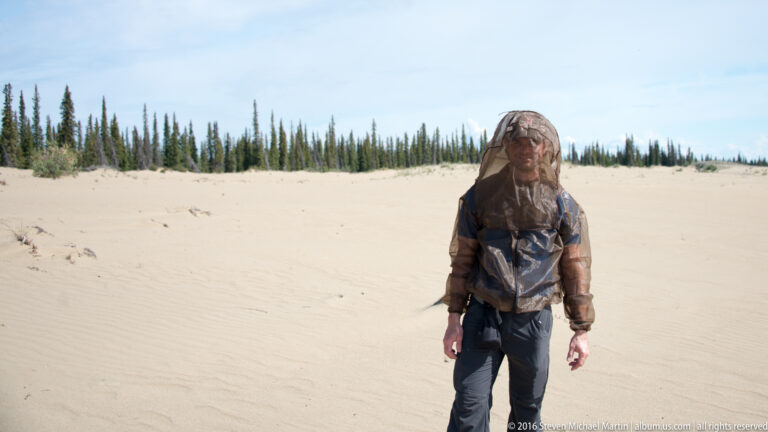 A person in a mesh head net walks across open sand, with a spruce line behind and the lower legs cropped.