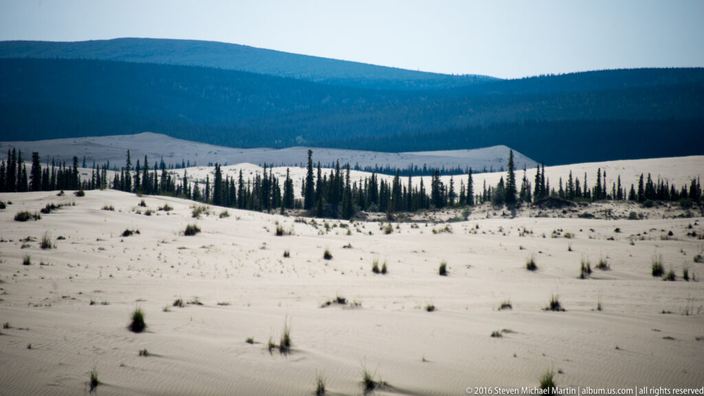 Sparse shrubs dot pale dunes below a dark forest belt and a distant blue mountain ridge.