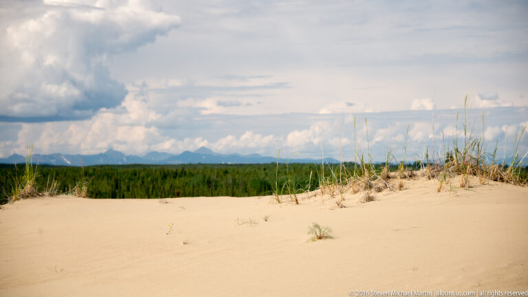 A pale dune crest with sparse grasses overlooks a dark forest band and distant mountains beneath clouds.