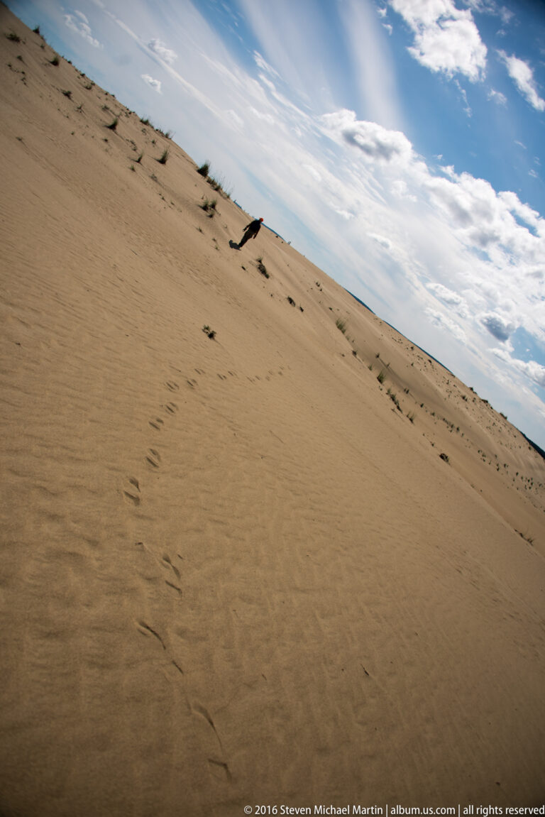 A steep sandy slope descends diagonally beneath a blue, clouded sky, with sparse plants and a dark branch.