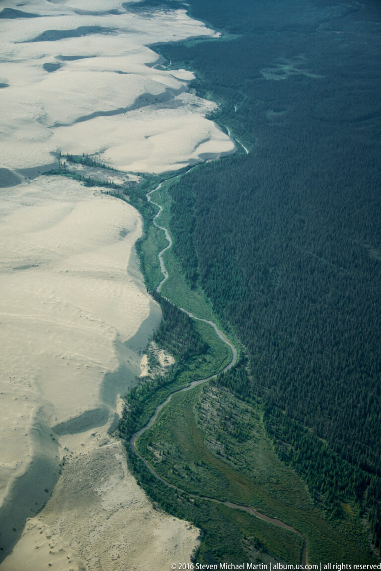 A narrow creek winds through green wetlands between a dark forest and broad pale dunes.