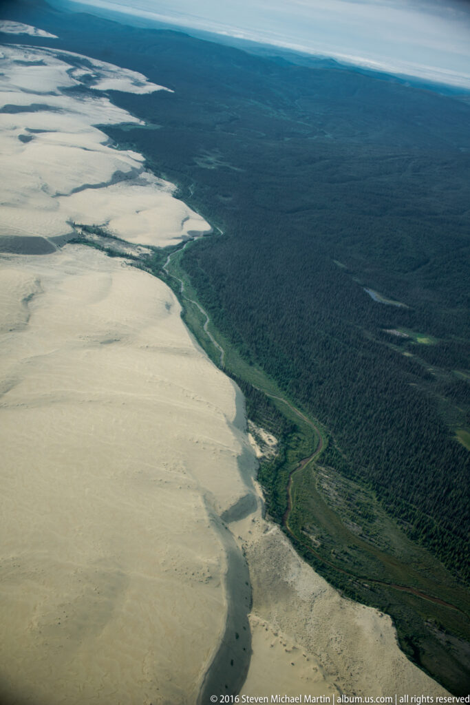 Pale dunes meet a broad dark forest, with a narrow green drainage corridor tracing their boundary.