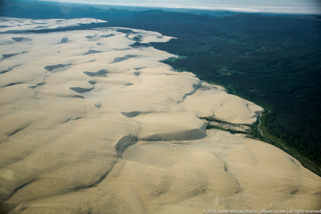 Rounded pale dunes stretch toward a distant forest edge, with small dark patches scattered across their surfaces.
