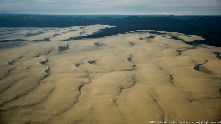 Parallel dune ridges and shallow branching gullies cross a broad sand surface beneath a distant forested horizon.