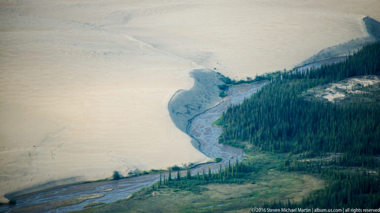 A braided blue-gray channel runs between pale dunes and a dense conifer bank, with green patches near the water.