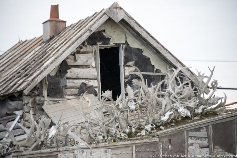 Pale antlers crowd the roofline of a damaged log house with an open gable and worn timbers.
