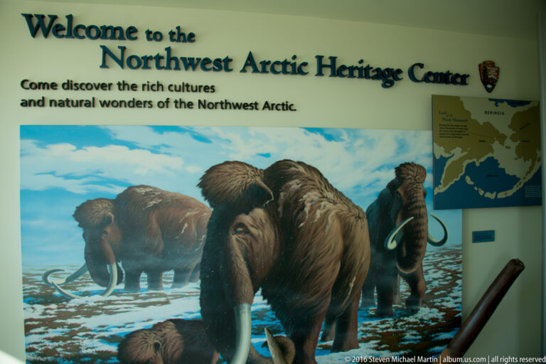 A mural of shaggy mammoths fills a Northwest Arctic Heritage Center display beside a map panel.