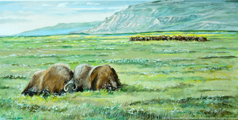 A painting shows musk oxen grazing in a green plain beneath a high mountain ridge.
