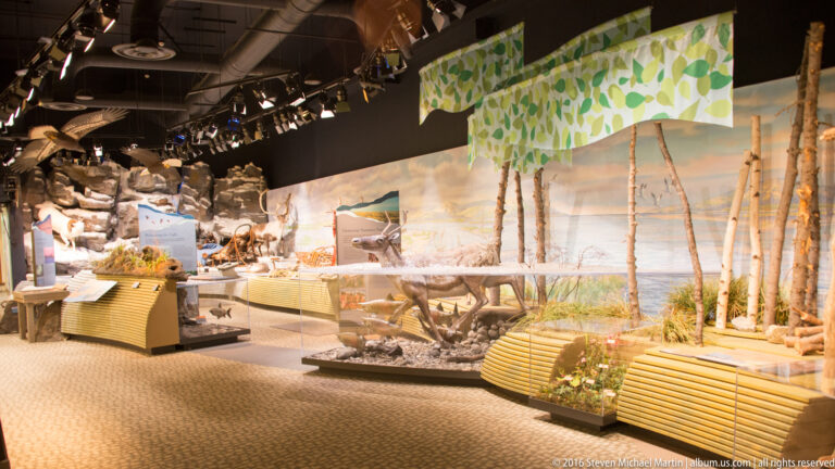 A wide museum gallery contains exhibit cases, wall panels, suspended decorations, and a curved bench.