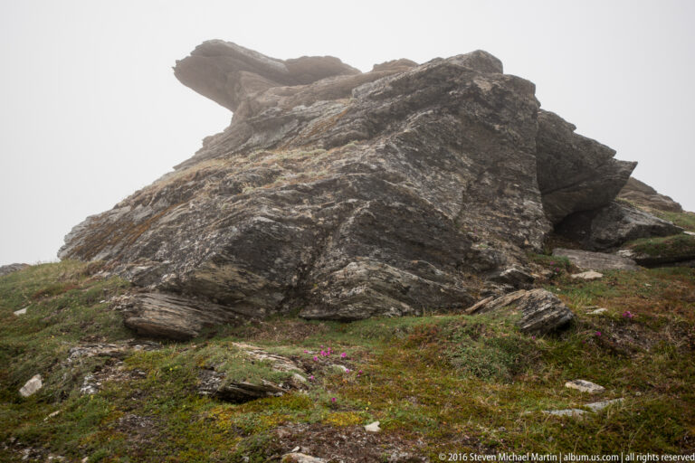 Layered dark boulders rise from low tundra plants and small pink flowers in a misty landscape.