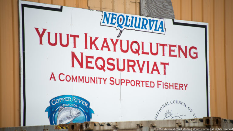 A white sign with large red Yup’ik lettering reads “A Community Supported Fishery” in English below.