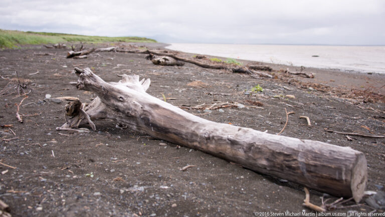 A long bleached driftwood log lies diagonally across a dark beach scattered with smaller sticks and debris.
