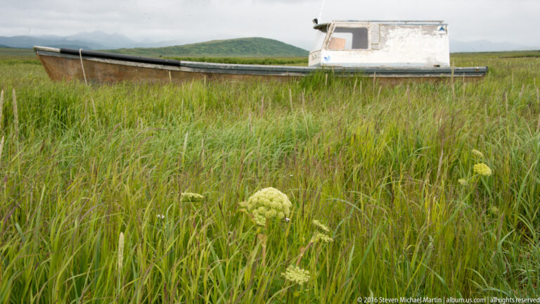 A small pale boat with an enclosed cabin sits partly hidden in tall grass before low hills.