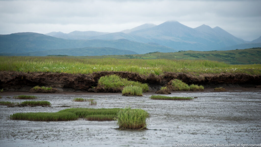 Small vegetated hummocks break up shallow marsh water below a broad green valley and distant mountains.