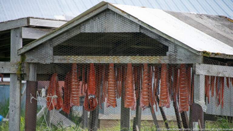 Rows of red fish strips hang from beams inside a mesh-sided wooden drying shelter.