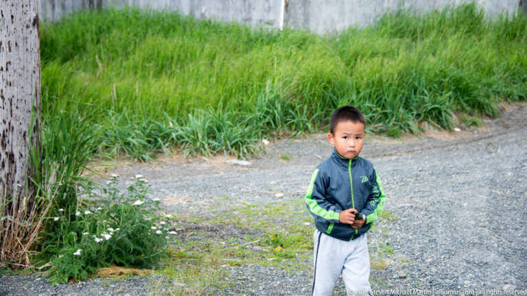 A young child stands on a gravel lane beside tall grass and a weathered wooden post.