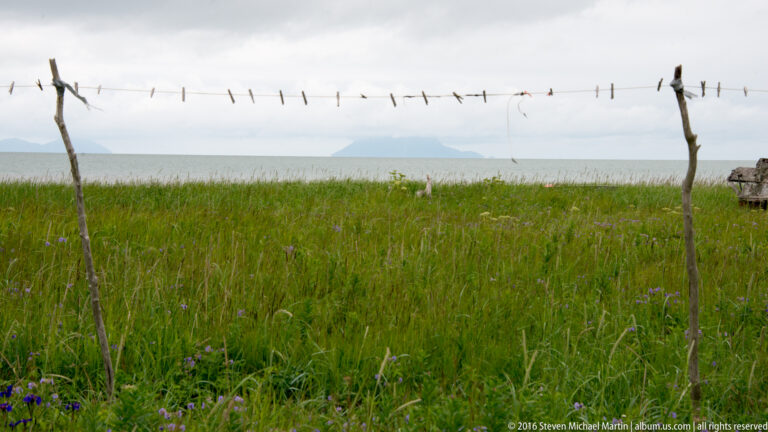 Weathered poles linked by a line cross a grassy coastal flat above the water, with purple flowers in front.
