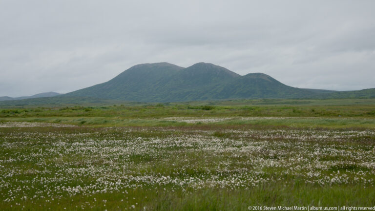 White-flowered wet meadow extends toward a rounded green mountain beneath an overcast sky.