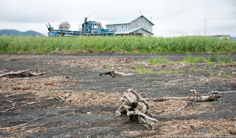 Driftwood and debris lie on a dark shore below tall grass, with a blue boat and building beyond.