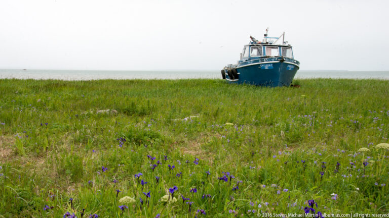 A blue boat faces forward from a grassy shore with open water behind it.