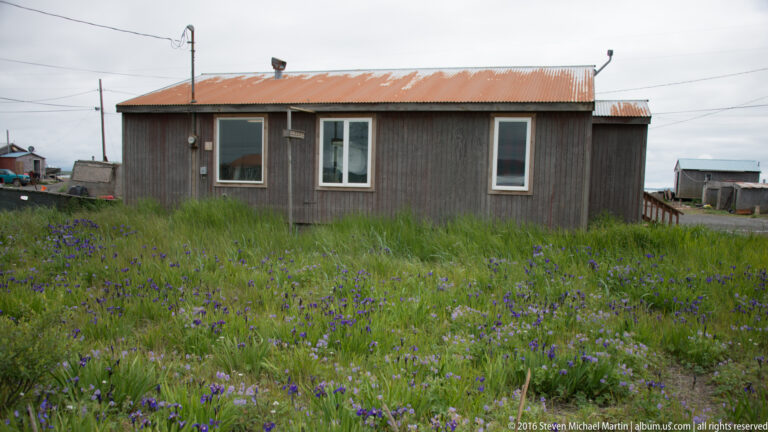 A weathered wooden house with a rusted roof stands beyond a meadow of purple flowers.