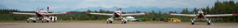Three small high-wing aircraft are parked in a row on a gravel strip in front of a forest.