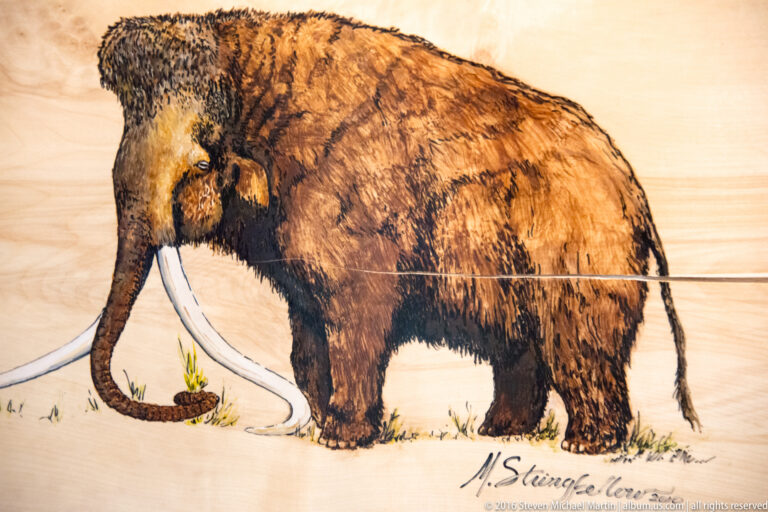 A signed illustration shows a shaggy woolly mammoth with long curved tusks walking across sparse ground.
