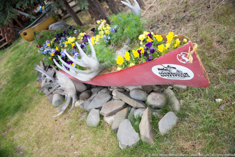 Flowers grow inside a red canoe surrounded by pale antlers, skulls, and stones.