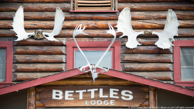 Pale antlers mounted above the Bettles Lodge sign on a dark log wall.