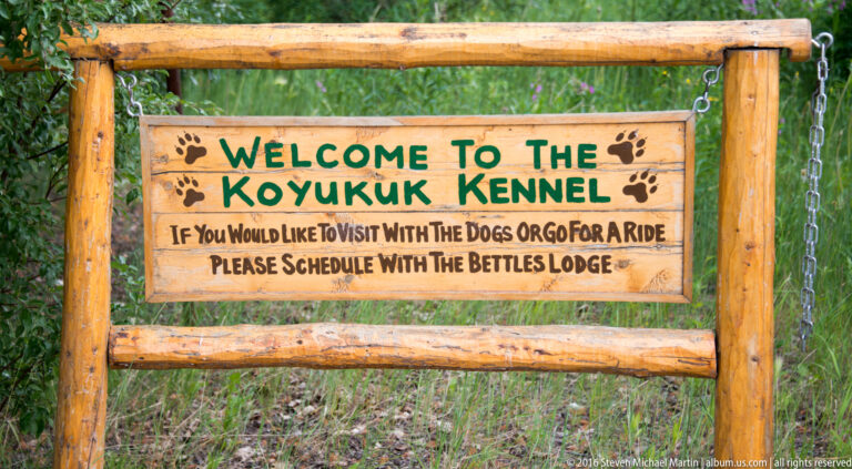 Wooden Koyukuk Kennel sign inviting visitors to schedule a dog visit or ride through Bettles Lodge.