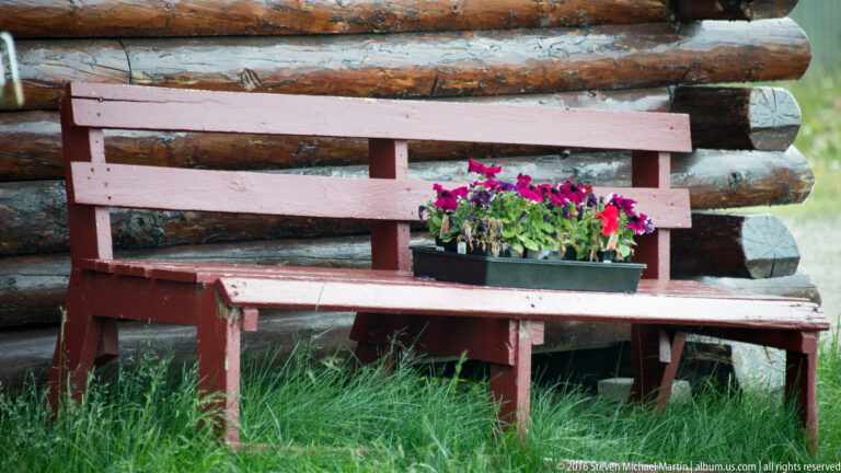 Red bench against a log wall with a flower box of magenta blooms on the seat.