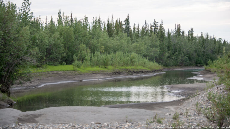 A shallow green stream bends around a pale gravel bank below dense birch and evergreen trees.