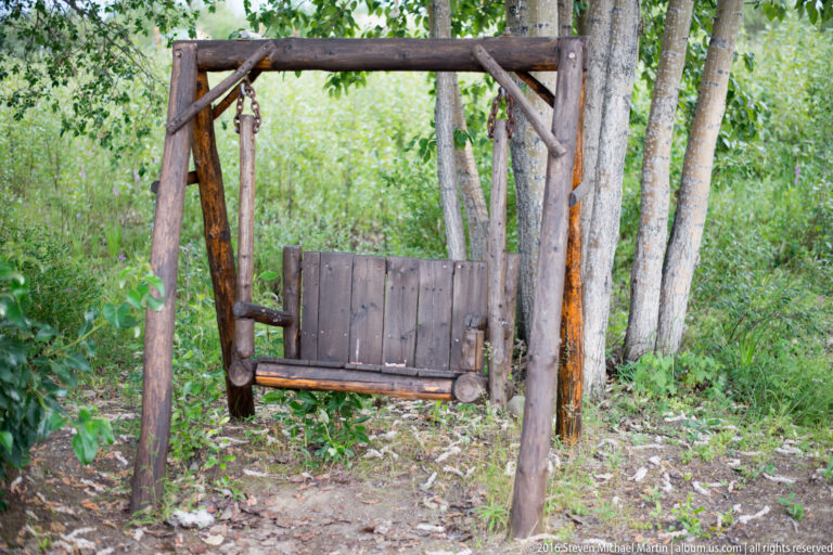 An empty wooden plank swing hangs from a timber frame among birch trees and low green vegetation.