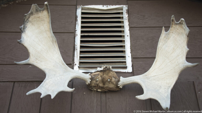 A large pale moose antler rack is mounted on brown siding beneath a narrow wall vent.