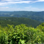 Spruce Knob Mountain NRA