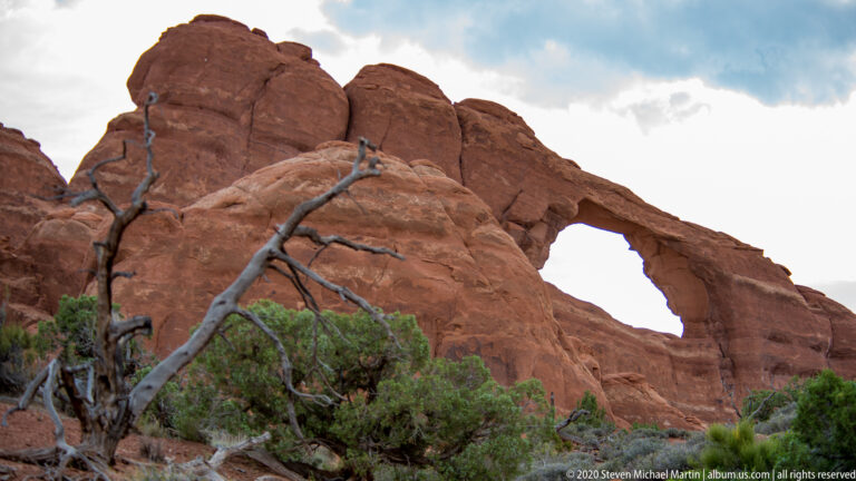 A bare branching tree partly frames a natural arch high in a red sandstone ridge.