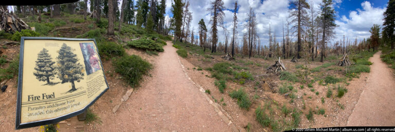 A “Fire Fuel” sign stands beside a dirt trail among charred and surviving trees.