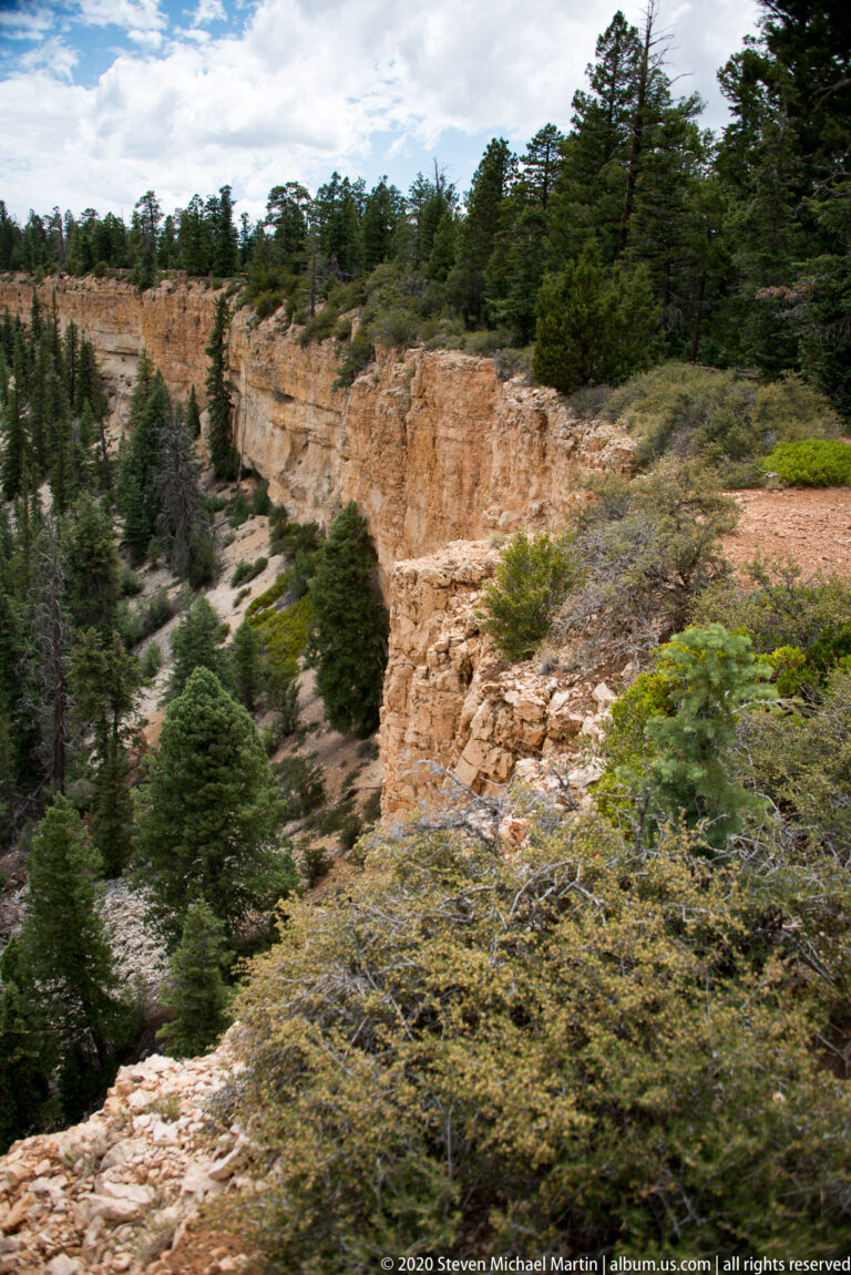 A rocky path crosses a pine-covered slope above a pale sandstone wall.