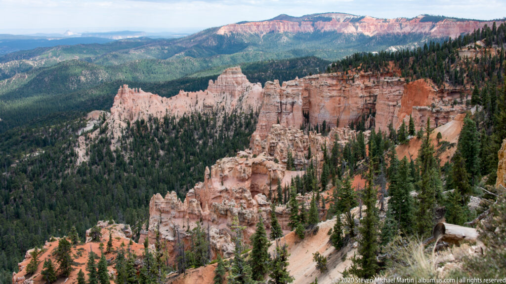 A rimside view looks across orange hoodoos and a forested basin toward a distant line of cliffs.