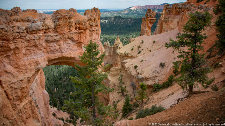 A sandstone arch frames a forested ravine and distant hoodoos, partly crossed by a foreground pine tree.