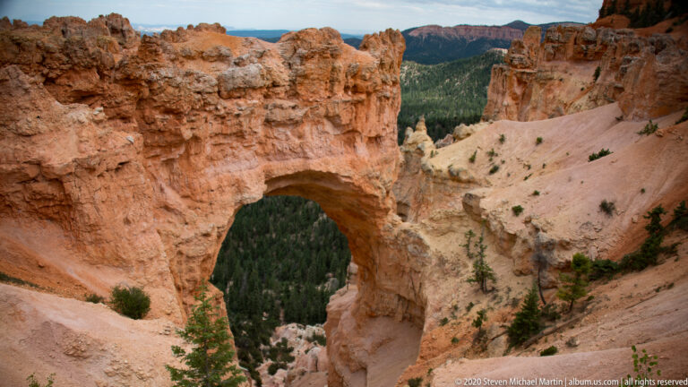 A natural sandstone bridge spans a shadowed, forested ravine between steep orange canyon walls.