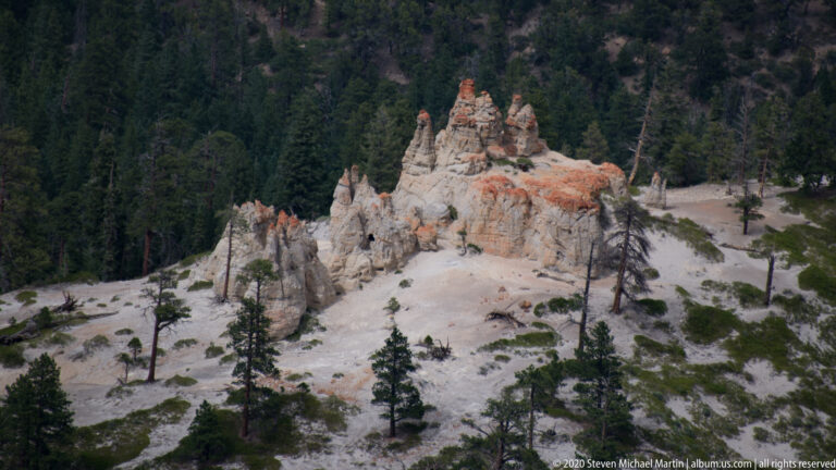 Pale and orange hoodoos rise from a sandy slope dotted with dark bare trunks and evergreen trees.