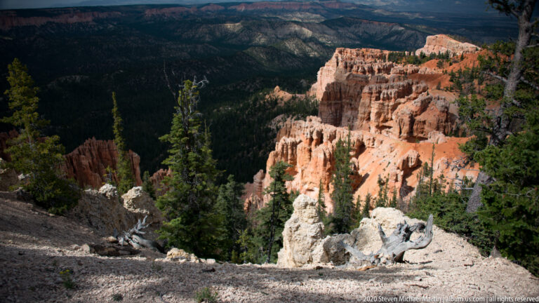 A shaded rocky ledge and fallen trunk frame orange cliffs across a deep, forested canyon.