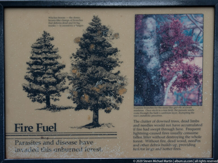 Interpretive panel titled Fire Fuel with tree illustrations, a forest photograph, and explanatory text.
