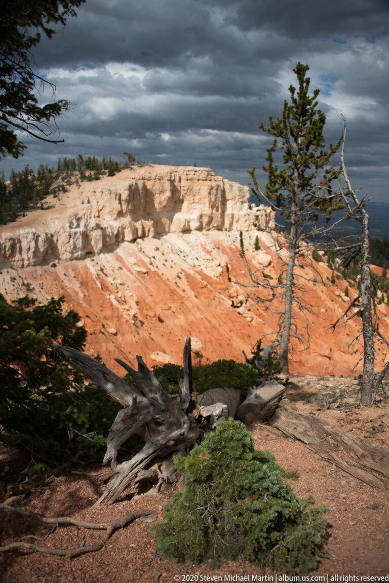 Bleached fallen tree and low pines overlook orange cliffs beneath dark storm clouds.